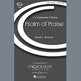David Brunner picture from Psalm Of Praise released 06/30/2009