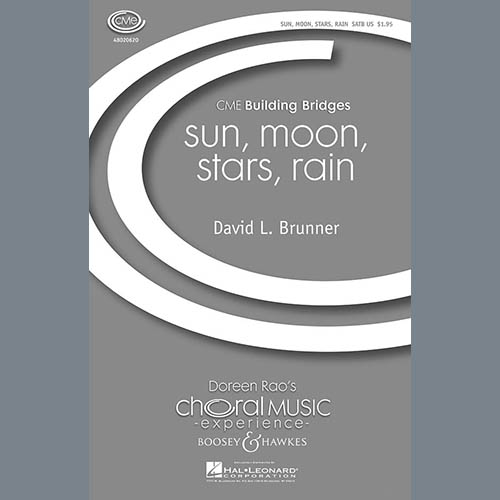 David Brunner Sun, Moon, Stars, Rain profile image