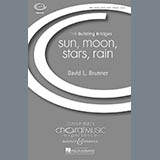 David Brunner picture from Sun, Moon, Stars, Rain released 06/30/2009