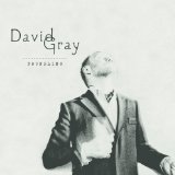David Gray picture from Forgetting released 09/30/2010