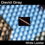 David Gray picture from Nightblindness released 10/26/2000