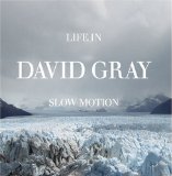 David Gray picture from Slow Motion released 09/08/2005