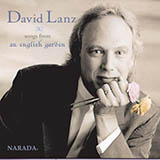 David Lanz picture from A Summer Song released 08/26/2020
