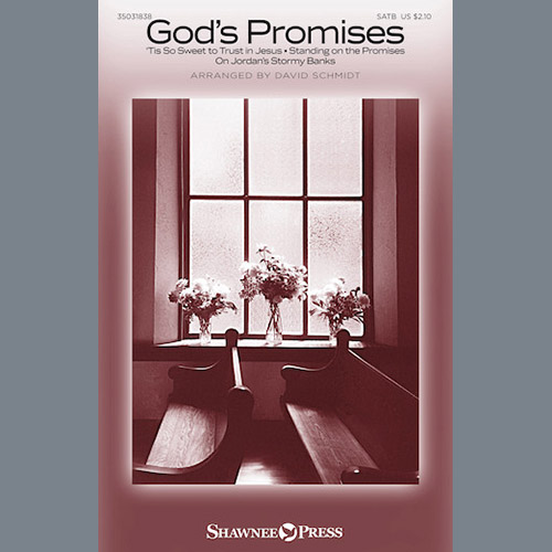 David Schmidt God's Promises profile image