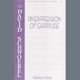 David Schwoebel picture from An Expression Of Gratitude released 07/23/2024