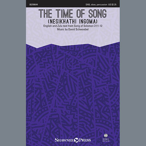 David Schwoebel The Time Of Song (Nesikhathi Ingoma) profile image