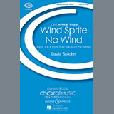 David Stocker picture from Wind Sprite/No Wind released 04/28/2009