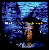 David Wilcox picture from All My Life released 03/20/2009