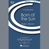 David Brunner Born Of The Sun Sheet Music and PDF music score - SKU 69708