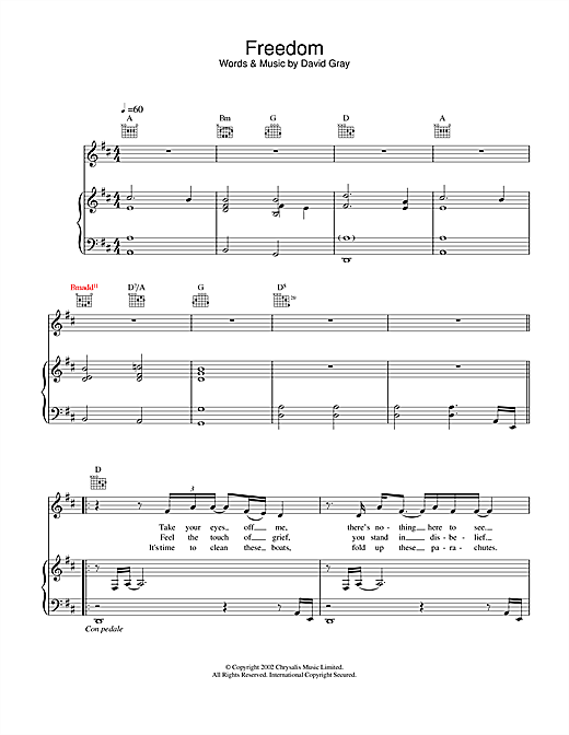 Preview David Gray Freedom Pop sheet music, notes and chords for Lyrics Only, SKU: 24099 sheet music, piano notes, chords, guitar tabs, score, transpose, transcribe, how to play, guide, download, learn, tutorial, progression, song, artist, awards, billboard, mtv, vh1, tour, single, album, release