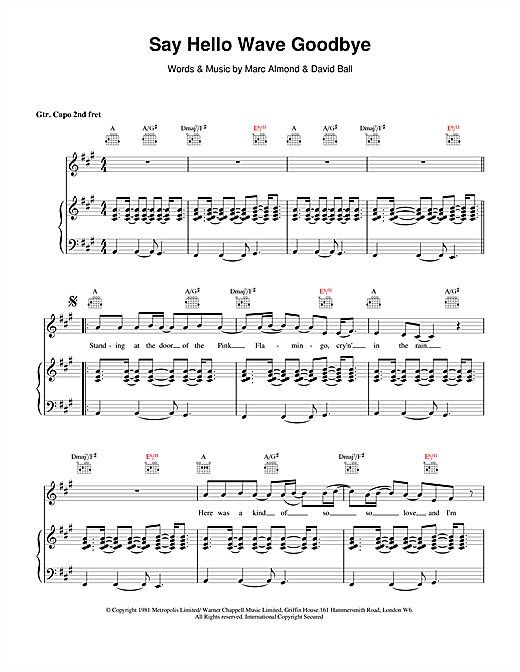 Preview David Gray Say Hello, Wave Goodbye Pop sheet music, notes and chords for Piano, Vocal & Guitar, SKU: 14604 sheet music, piano notes, chords, guitar tabs, score, transpose, transcribe, how to play, guide, download, learn, tutorial, progression, song, artist, awards, billboard, mtv, vh1, tour, single, album, release