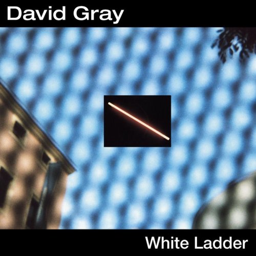 David Gray This Year's Love profile image