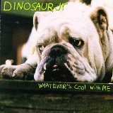 Dinosaur Jr. picture from Not You Again released 05/03/2010