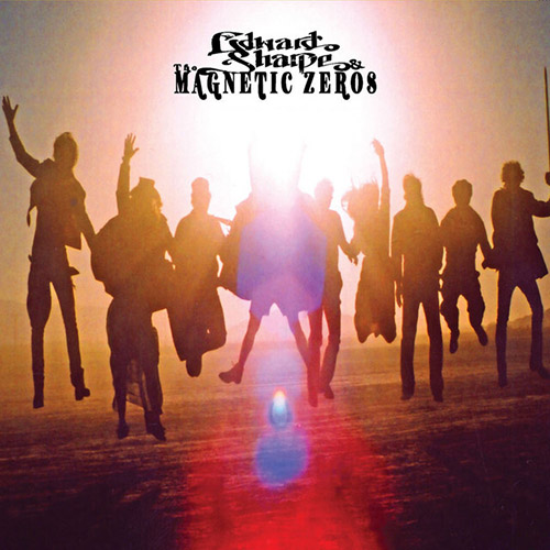 Edward Sharpe and the Magnetic Zeros Home profile image