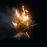 Elevation Worship picture from Trust In God released 02/21/2025