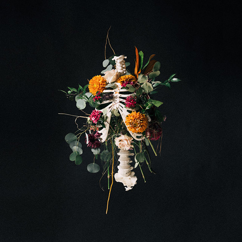 Elevation Worship profile Elevation Worship RATTLE! profile image