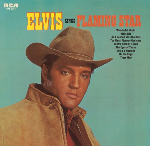 Elvis Presley Flaming Star profile image
