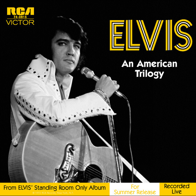 Elvis Presley You Gave Me A Mountain profile image