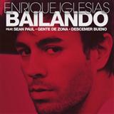 Enrique Iglesias Featuring Descemer Bueno and Gente de Zona picture from Bailando released 08/07/2014