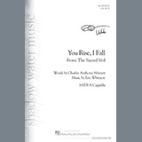 Eric Whitacre picture from You Rise, I Fall (from The Sacred Veil) released 02/06/2020