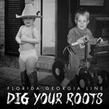 Florida Georgia Line feat. Tim McGraw picture from May We All released 09/21/2016
