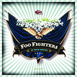 Foo Fighters picture from Another Round released 10/07/2005