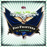 Foo Fighters picture from End Over End released 10/07/2005