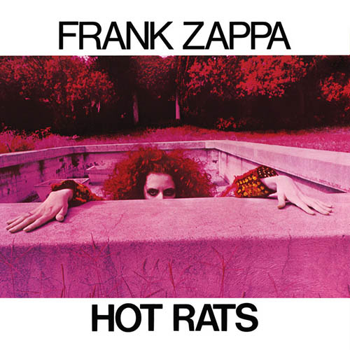 Frank Zappa Little Umbrellas profile image