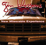 Gin Blossoms picture from Hey Jealousy released 05/02/2023
