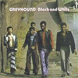 Greyhound picture from Black And White released 04/04/2014