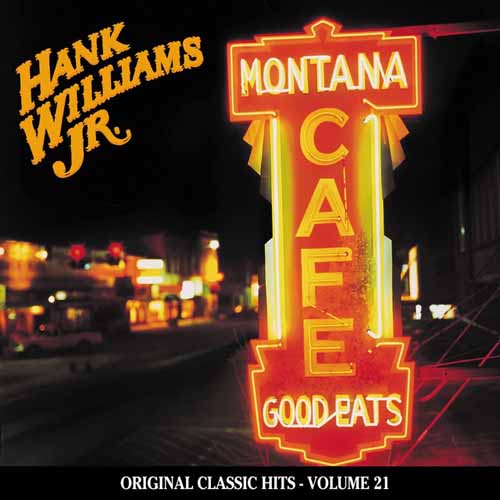 Hank Williams Jr. Country State Of Mind profile image