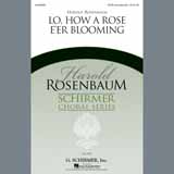Harold Rosenbaum picture from Lo, How A Rose E'er Blooming released 05/22/2013