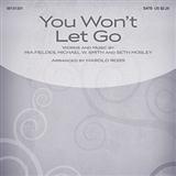 Michael W. Smith picture from You Won't Let Go (arr. Harold Ross) released 12/09/2014