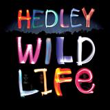 Hedley picture from Pocket Full Of Dreams released 08/28/2015