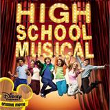 High School Musical picture from Stick To The Status Quo released 06/15/2006