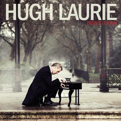 Hugh Laurie Didn't It Rain profile image