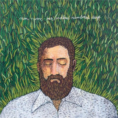 Iron & Wine Love And Some Verses profile image