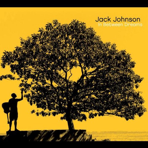 Jack Johnson Crying Shame profile image