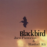 Jaco Pastorius & Rashid Ali picture from Slang released 04/12/2024