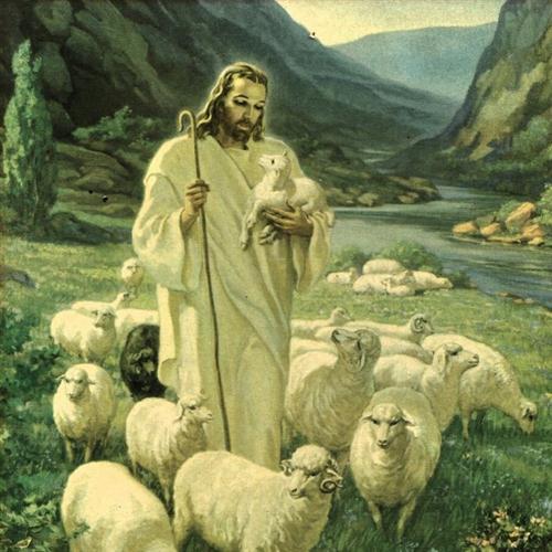 Jessie S. Irvine The Lord's My Shepherd, I'll Not Wan profile image