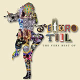 Jethro Tull picture from New Day Yesterday released 08/27/2008
