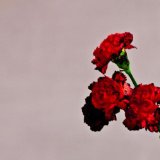 John Legend picture from Made To Love released 05/15/2019