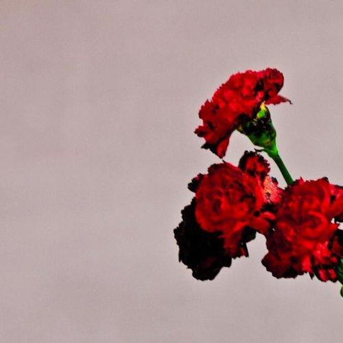 John Legend You And I (Nobody In The World) profile image