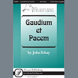 John Tebay picture from Gaudium Et Pacem released 09/30/2020