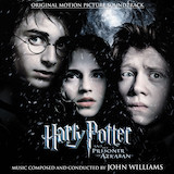 John Williams picture from Hagrid The Professor (from Harry Potter) (arr. Carol Matz) released 05/17/2023