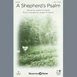 Joseph M. Martin picture from A Shepherd's Psalm released 11/13/2013