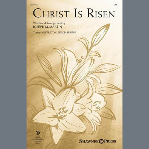 Joseph M. Martin profile Joseph M. Martin Christ Is Risen profile image