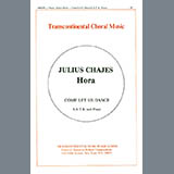 Julius Chajes picture from Hora (Come Let Us Dance) released 11/18/2022
