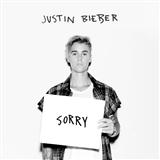 Justin Bieber picture from Sorry (piano version) released 01/06/2016