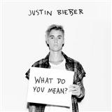 Justin Bieber picture from What Do You Mean? released 09/29/2015